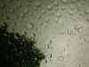 sunroof